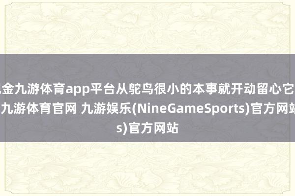 现金九游体育app平台从鸵鸟很小的本事就开动留心它了-九游体育官网 九游娱乐(NineGameSports)官方网站